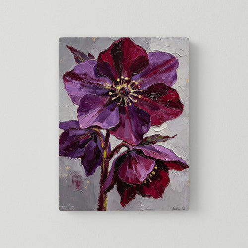 Blooming Hellebore Fine‑Art Print
