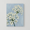Star of Bethlehem